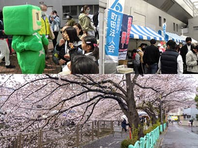 尾根緑道さくら祭り